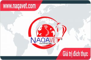 Naqavet
